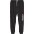 Фото #1 товара TOMMY JEANS Entry Graphics sweat pants