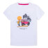 Фото #1 товара HACKETT Summer 4X4 short sleeve T-shirt