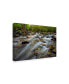 Фото #2 товара Danny Head Golden Flow Canvas Art - 37" x 49"