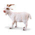 Фото #1 товара COLLECTA Goat Billy Figure