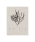 Henry Bradbury Charcoal and Linen Seaweed IV Canvas Art - 37" x 49"