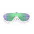 OAKLEY CMDN Prizm sunglasses