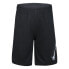 Фото #1 товара NIKE KIDS Hbr Shorts