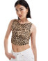 Bershka contrast trim open back top in leopard print