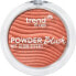 Фото #1 товара Blush Powder 040, 5 g