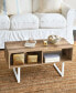 Modern Media Coffee Table with 2 Compartments