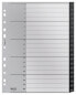 Фото #1 товара Esselte Leitz 12110000 - Blank tab index - Polypropylene (PP) - Black - White - A4 - 160 g/m² - 238 mm