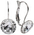 Фото #1 товара Elegant Rivoli Crystal earrings