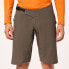 Фото #1 товара OAKLEY APPAREL Element shorts