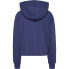 TOMMY JEANS Relax Essential Logo 2 hoodie