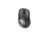 Фото #1 товара Rapoo M500 Silent - Right-hand - Optical - RF Wireless + Bluetooth - 1600 DPI - Black