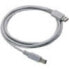 Фото #1 товара Datalogic Straight Cable - Type A USB - 2 m