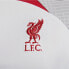 Фото #4 товара Nike Liverpool FC M DR4587 015 T-shirt