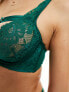 Фото #5 товара Hunkemoller Iggy strapping detail bra with lace high apex in green