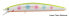 Фото #1 товара Daiwa Salt Pro SP Minnow Floating Striper Surf Lure (Assorted Colors)