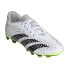 Adidas Predator Accuracy.4 Fxg Белый, 28 - фото #1