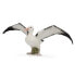 Фото #1 товара Фигурка Collecta Collected Erander Albatross Figure Albatross Collection (Коллекция Альбатросов).
