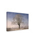 Фото #2 товара Philippe Sainte-Laudy The Tree Fairy Tale Canvas Art - 20" x 25"