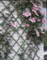 Фото #2 товара Крат садовый для плетущихся растений Nature Nature, 50x150 см, PVC, зеленый, 6040702