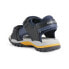 GEOX Borealis sandals