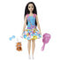 BARBIE Mfb Core Dv Doll