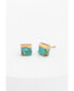 ფოტო #1 პროდუქტის Lorena Square Turquoise Stud Earrings