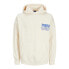 Фото #1 товара JACK & JONES Mykonos Type hoodie