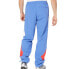 Фото #2 товара [FJ3334] Mens Reebok Classics Twin Vector Track Pants