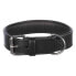 Фото #2 товара TRIXIE Active 40 mm Collar