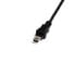 Фото #4 товара StarTech.com 1 ft Mini USB 2.0 Cable - USB A to Mini B F/M - 0.3 m - USB A - Mini-USB B - Male/Female - 480 Mbit/s - Black