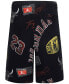 ფოტო #2 პროდუქტის Big Boys Michael Jordan Essentials Printed Fleece Shorts
