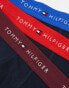 Tommy Hilfiger Signature Essential 3 pack trunk in black with burgundy/red/blue waistbands