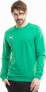 Фото #1 товара Puma Bluza męska Puma Team Goal Casuals Crew Neck Sweat zielona 658592 05 XL