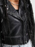 Barney's Originals Petite Beppe leather jacket with ribbed detail