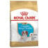 ფოტო #1 პროდუქტის ROYAL CANIN Cavalier King Charles Puppy 1.5kg Dog Food