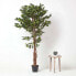 Фото #3 товара Kunstbaum Ficus Benjamini grün 180 cm