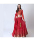 ფოტო #1 პროდუქტის Women's Red Sequins Lehenga Choli