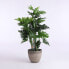 Фото #10 товара Искусственные цветы MICA Decorations Philodendron 120 см Гибридный