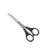 Ножницы для волос Eurostil 13716 5,5"