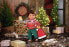 Фото #6 товара Кукла с нарядом для Рождества Zapf BABY born 43 см | 830291