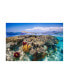 Фото #1 товара Barathieu Gabriel Mayotte the Reef Canvas Art - 20" x 25"