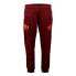 Фото #1 товара SUPERDRY The 5Th Down joggers