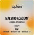 Konturpalette - Topface Maestro Academy Mineralist Contour 01