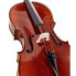 Фото #5 товара Walter Mahr Cello Stradivari Spruce 4/4