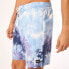 Фото #7 товара OAKLEY APPAREL Canary Palms RC 18´´ Swimming Shorts