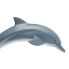SAFARI LTD Dolphin Figure