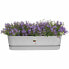 Ящик для цветов Elho Planter Grey 70 см Plastic