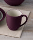 Colorwave Burgundy Curve 4-Piece Place Setting