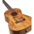 Фото #6 товара Kala Exotic Burl Caramel Ukulele