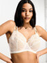 We Are We Wear Fuller Bust padded plunge bra with hardwear detail in white